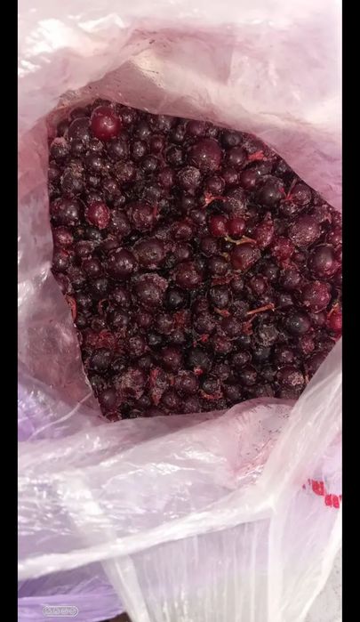 Смородина замороженная