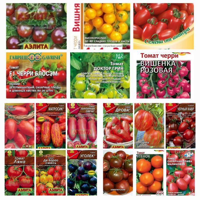 Рассада овощей и цветов