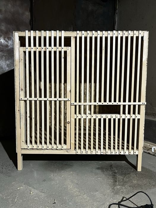 Xorozga in zakazga yasab beramiz