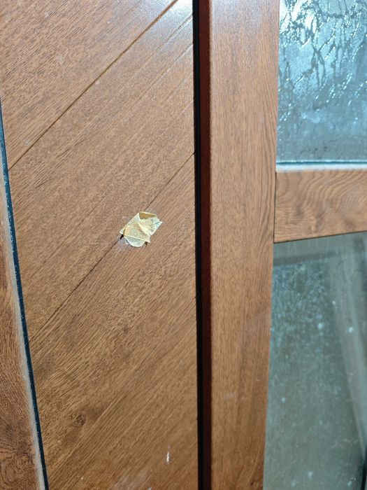 Входна врата за къща