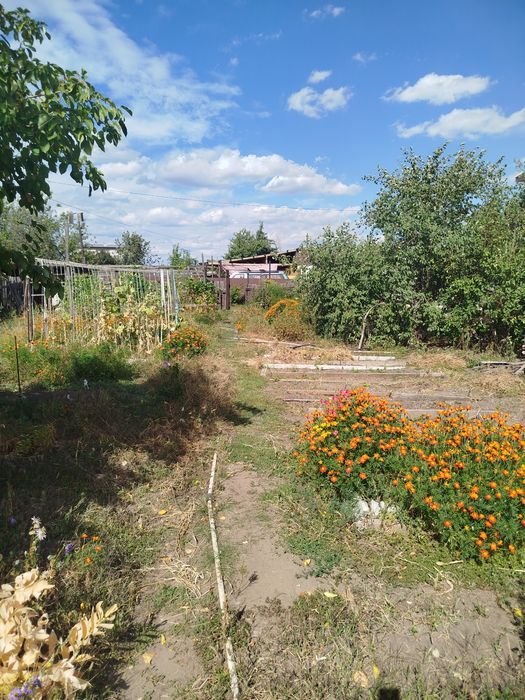 Продам дачу садоводство яблонька