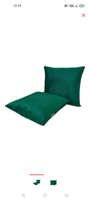 Той бастар шашу Падушка той бастар