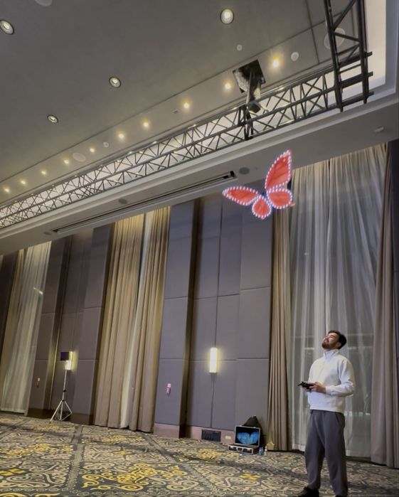 Летающая бабочка в аренду, кобелек