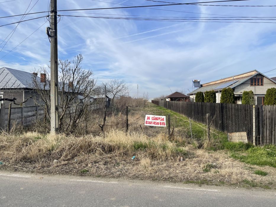 Teren  Plesoiu(Arcesti Cot)- Gazele vis-a-vis