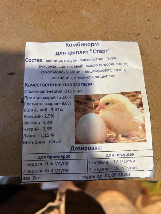Продам цыплят породы Адлер