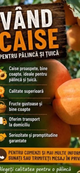 Caise proaspete pentru țuică și distilare