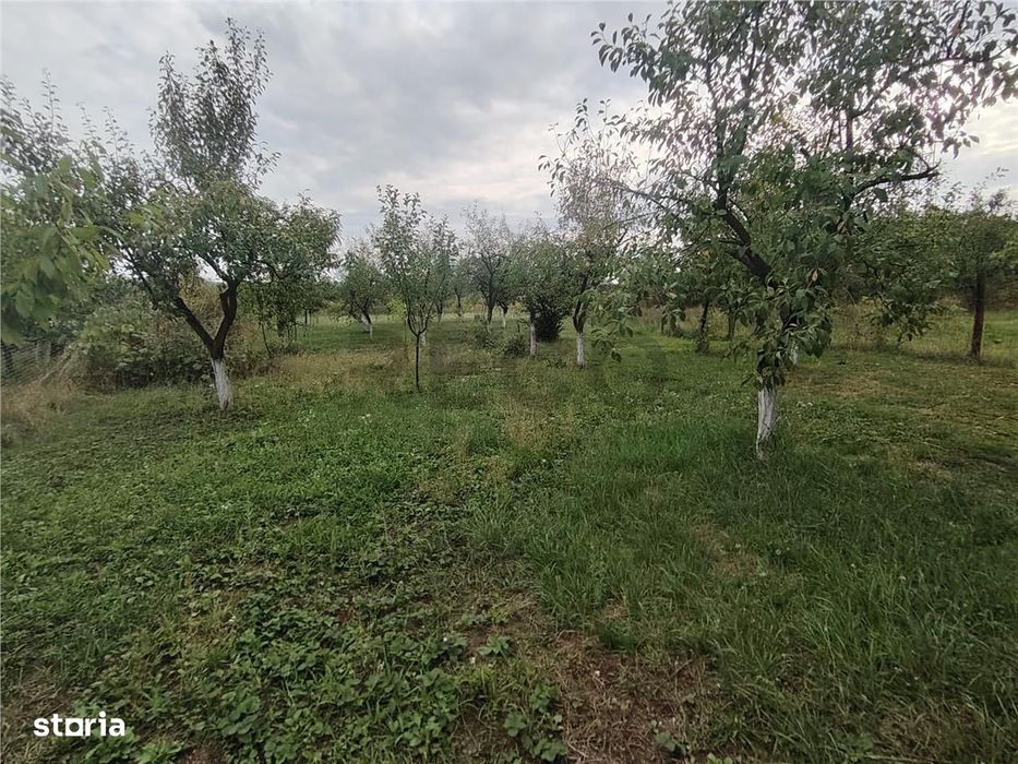 RECO Casa din caramida in Suplacul de Barcau