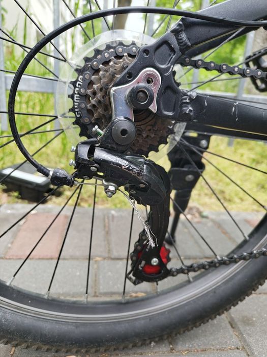 Bicicleta Copii Pegas Drumet 20