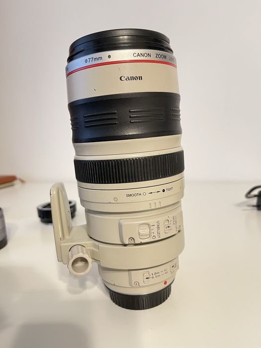 Canon EF 100-400mm f/4.5-5.6L IS USM