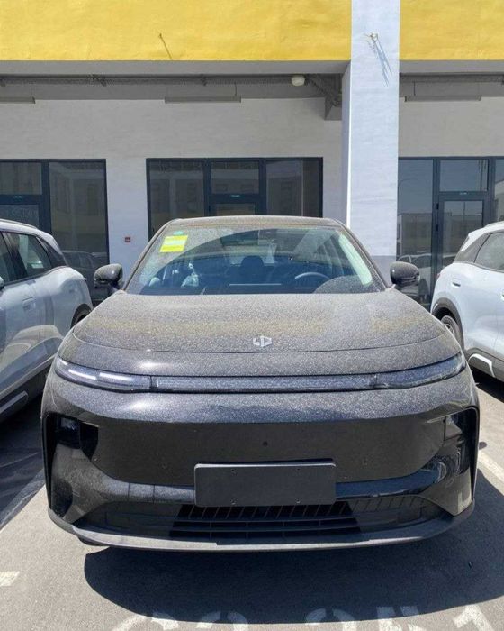 b10 Leapmotor c10 c11 c16 c01 b01 hama madeli