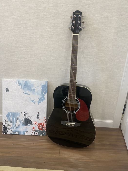 Гитара Naranda DG120BK