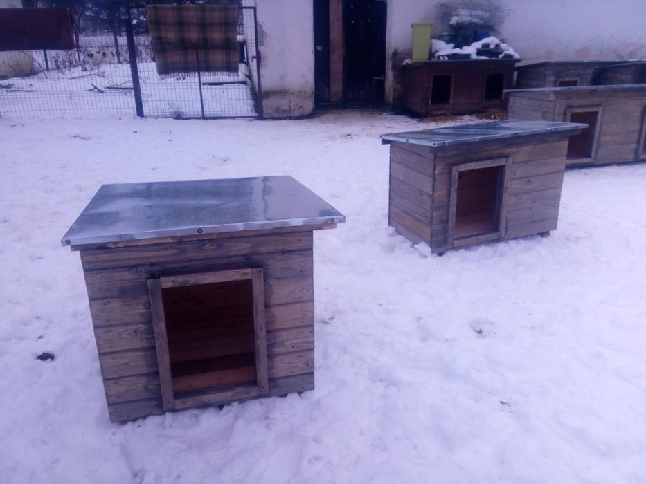 Custi de caini pentru padocuri de caini si adaposturi