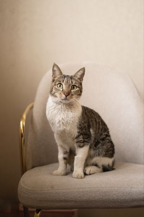 Тоби в поисках дома , Ташкент!