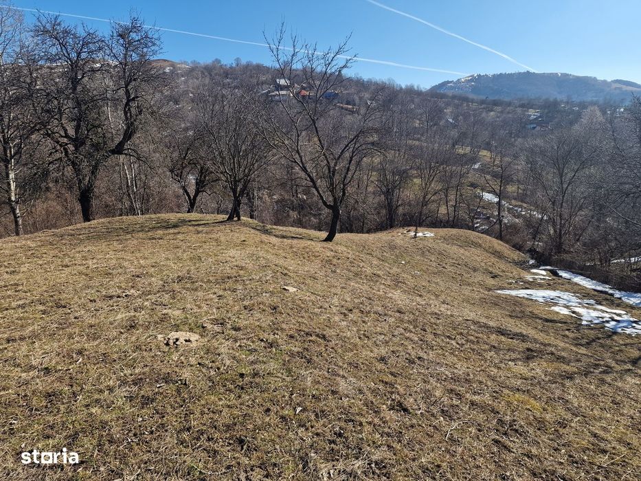 Teren intravilan secaria