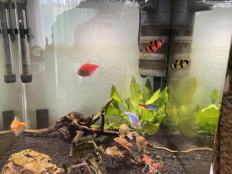 Продавам за аквариум за рибки