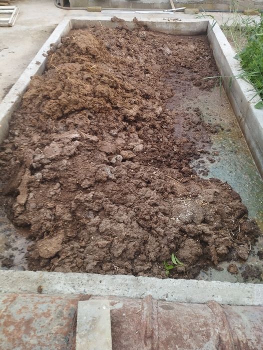 Poru besplatno Ugit