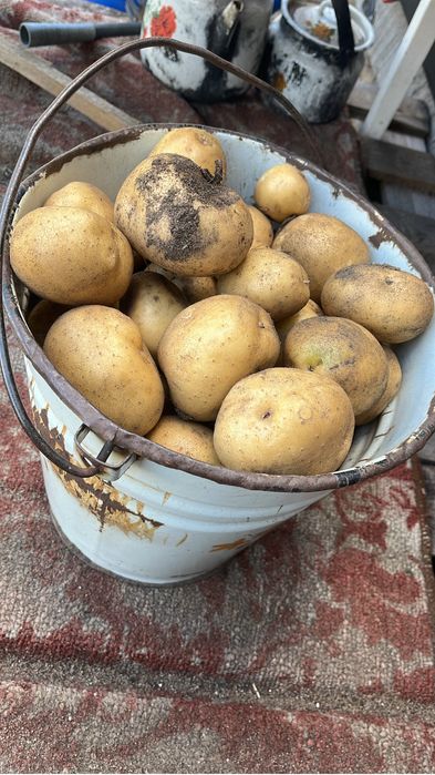 Продам дачу 6 общ 17 дачи