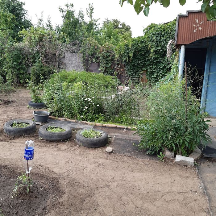 Продам дачу,сад Здоровье.