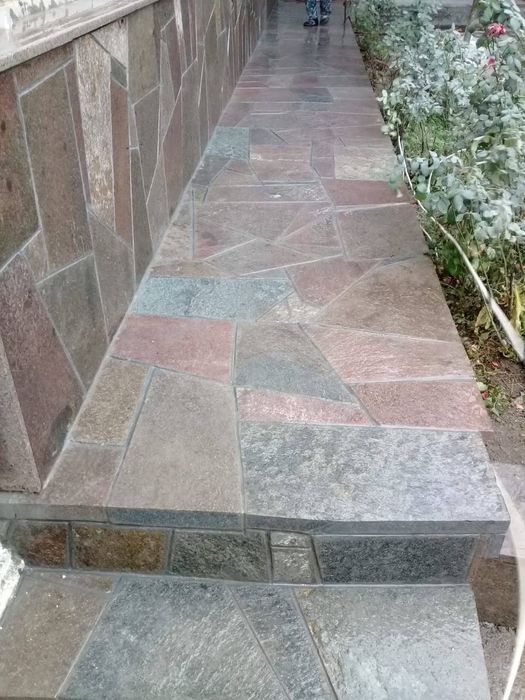 Плитняк разных видов