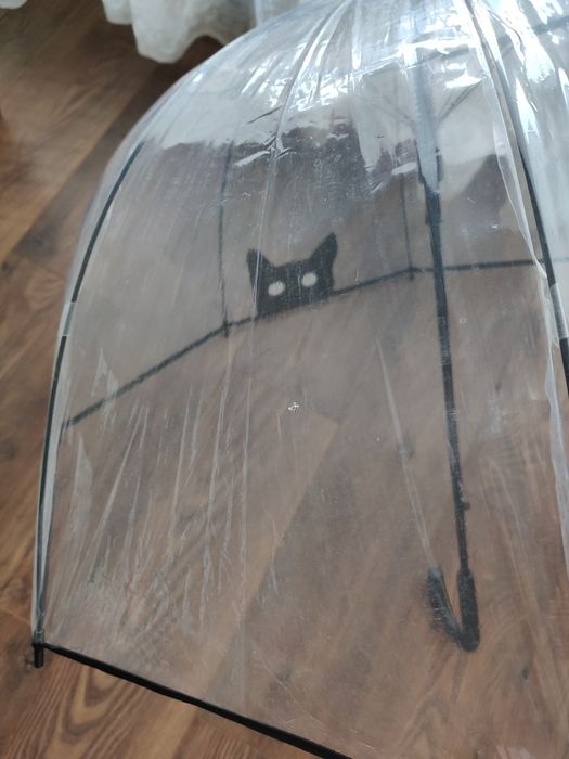 Umbrela transparenta pisica