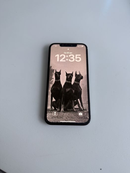 lphone 12 pro max 128 gb