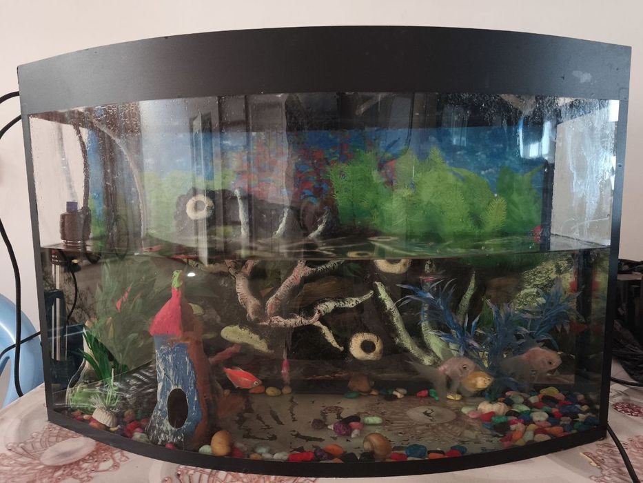 АКВАРИУМ тез ва арзон сотилади