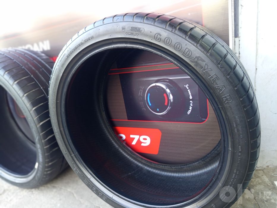 Goodyear EAGLE F1