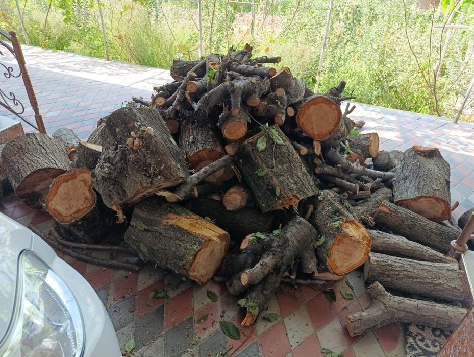 Oʼtin sotiladi quruq. Mevali va mevasiz.