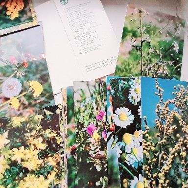 Открытки юному ботанику