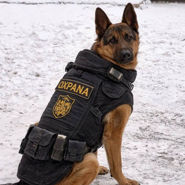 Афчарка сотилади