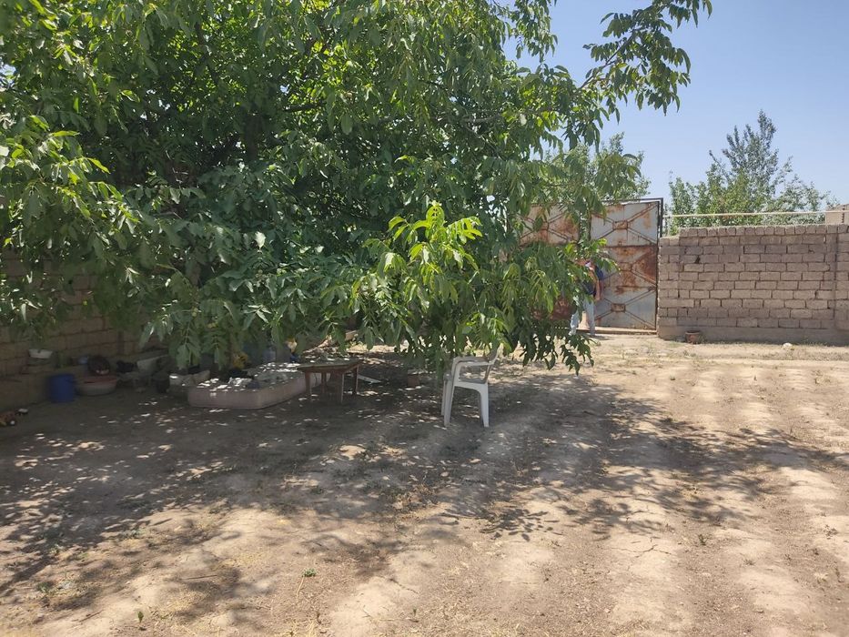 Yer sotiladi! Dacha yoki uy qurib yashash uchun juda qulay