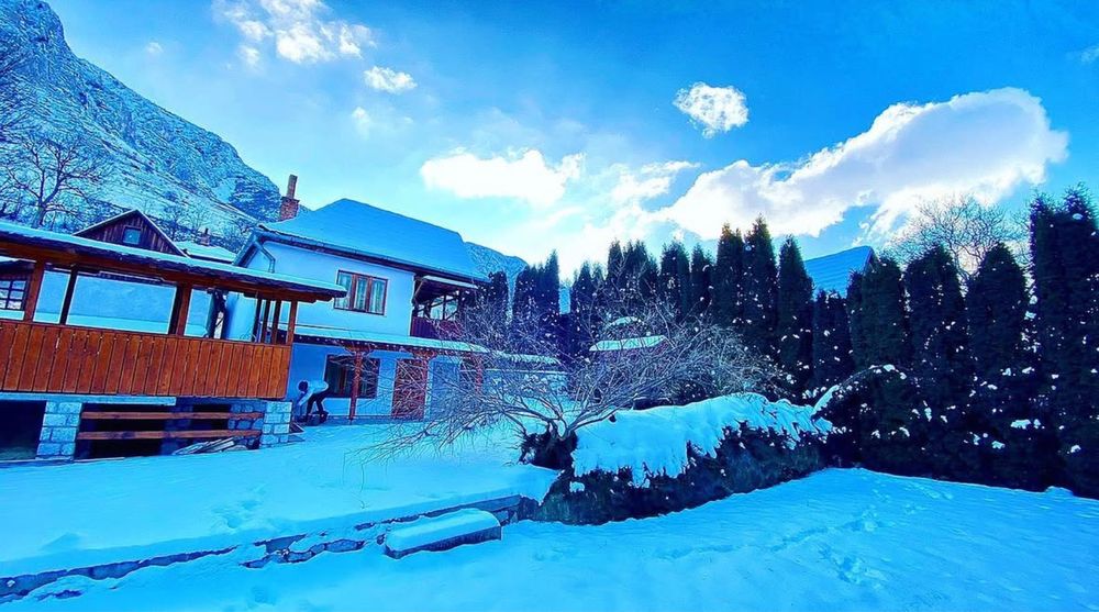 Cabana De Inchiriat RIMETEA cu ciubar‼️