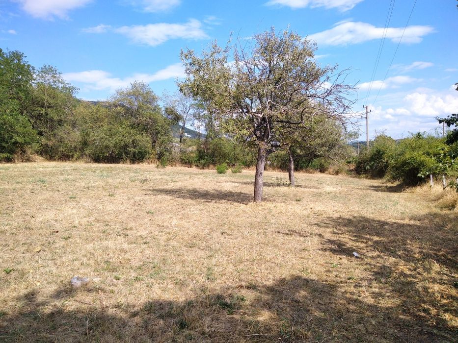 Продава се Парцел в с. Мирково, Област София-област - 1100 кв.м за 60 €/кв.м - Снимка #6