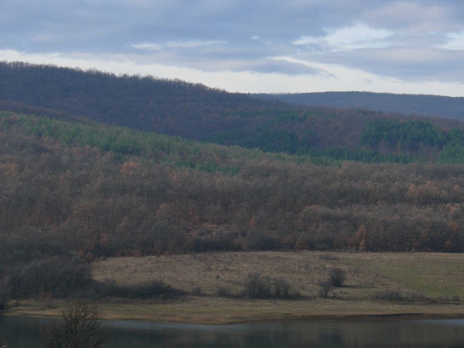 Продава се Земеделски имот в с. Извор, Област Перник -  кв.м за 4965 €/дка - Снимка #1