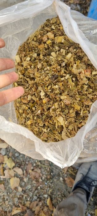 Силос донли ягуар selos