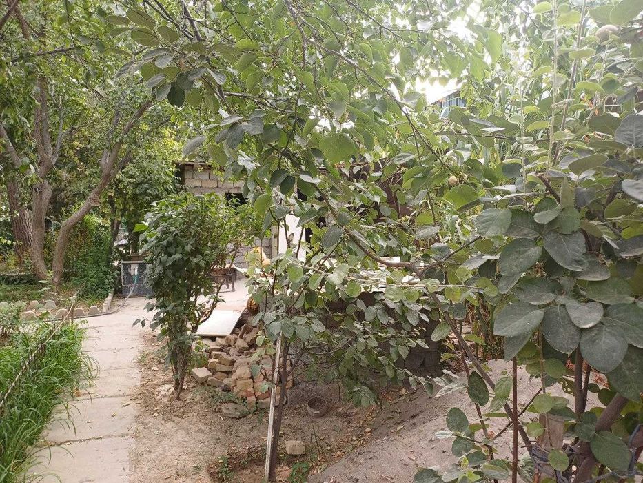 Земельный участок Яшнабад, 6 соток, квадратной формы=