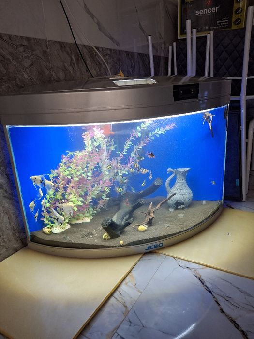 Аквариум заводской