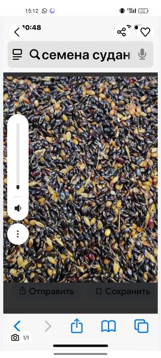 Суданка житняк эспарцет люцерна доник арпа бидай