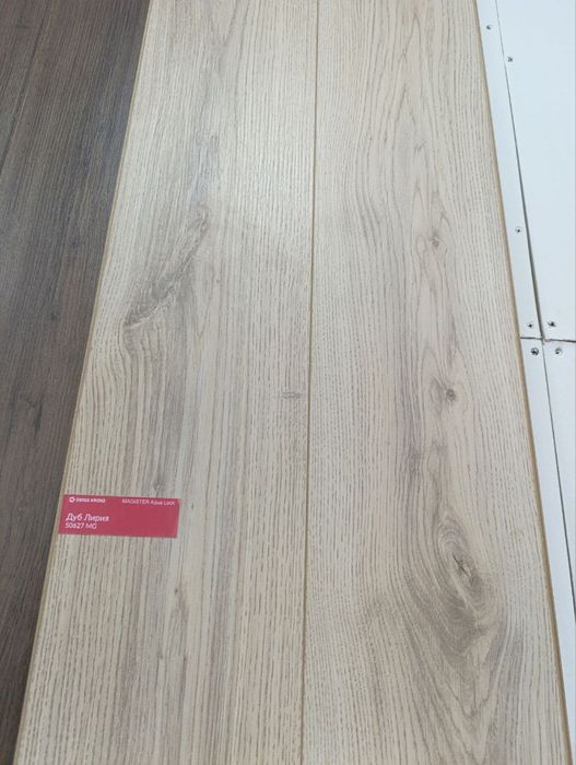 Tarket xitoy rossiya