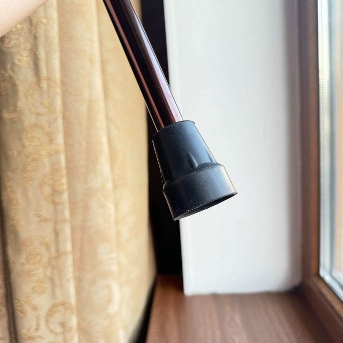 Трость новый