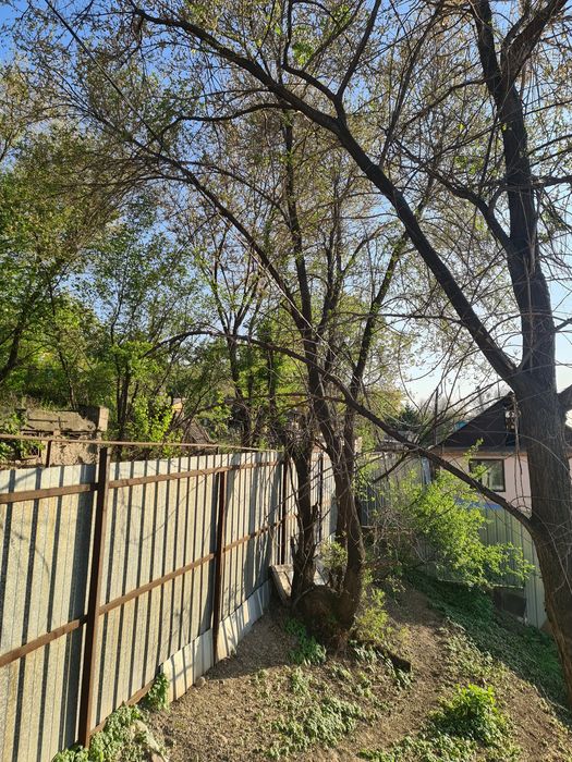 Отдам дрова/деревья даром