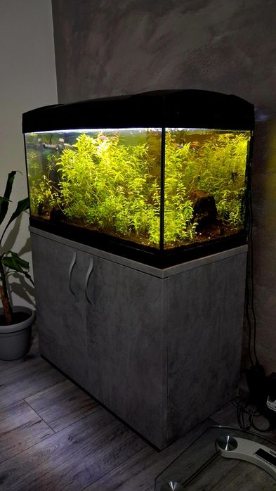 Acvariu Complet 60L