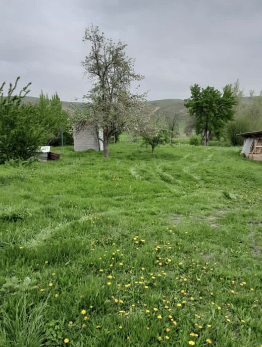 Жер сатылады.  10 соттык