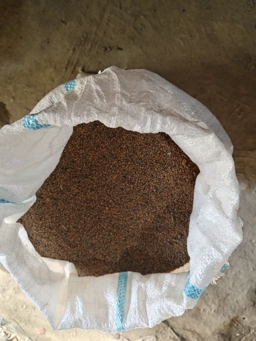 tut urug', тут уруг, тут