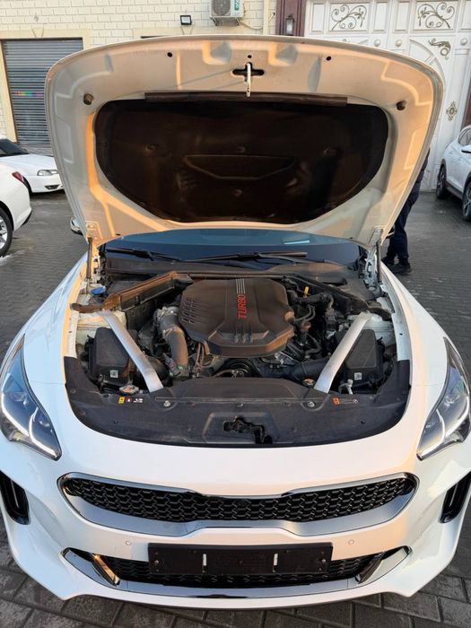 Kia Stinger 2023 Kraska Tozza Ideal