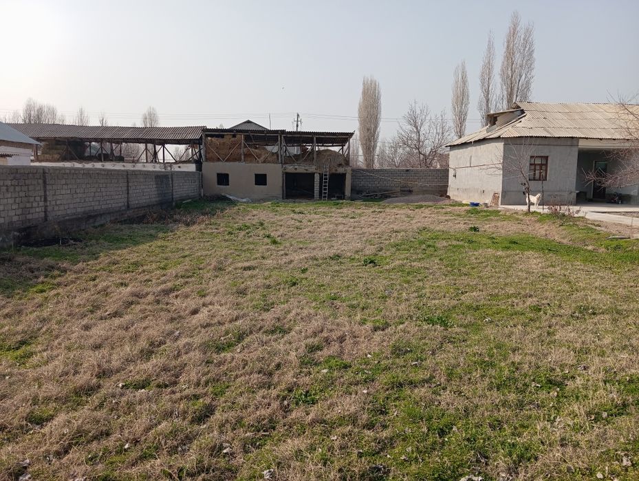 Mamut UY yer sotiladi