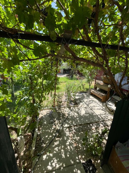 Дом продаётся Арысь