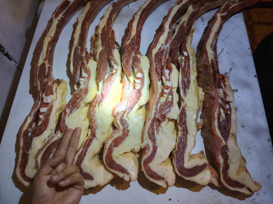 Продам согым конина