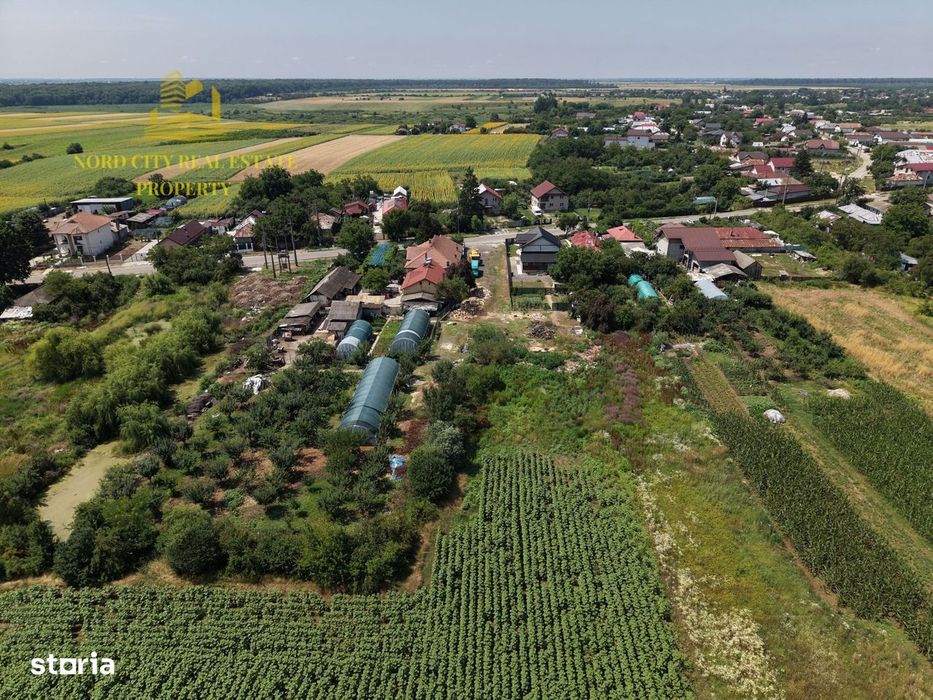 Teren 2.700 mp Ciocănești - Urziceanca | La asfalt