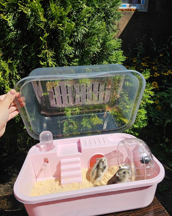 Новые клетки для хомяков